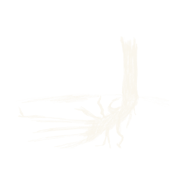 Baumwurzel Baumwurzel