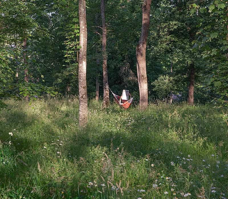 Hängematte im Park Hängematte im Park